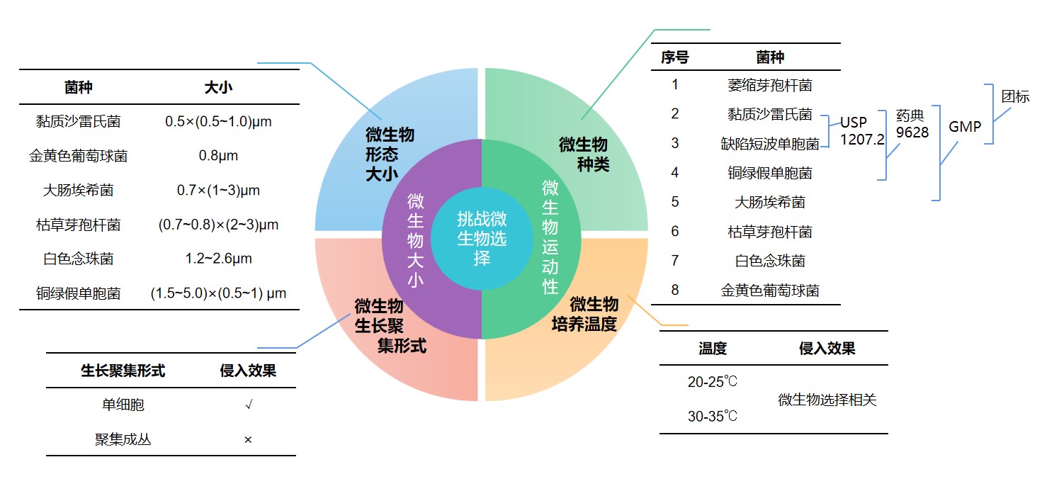 1724918725619928T7SG.jpg 微生物選擇.jpg